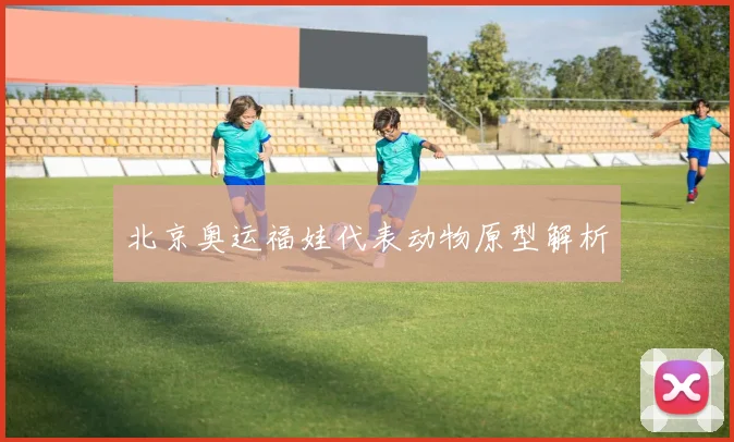 北京奥运福娃代表动物原型解析