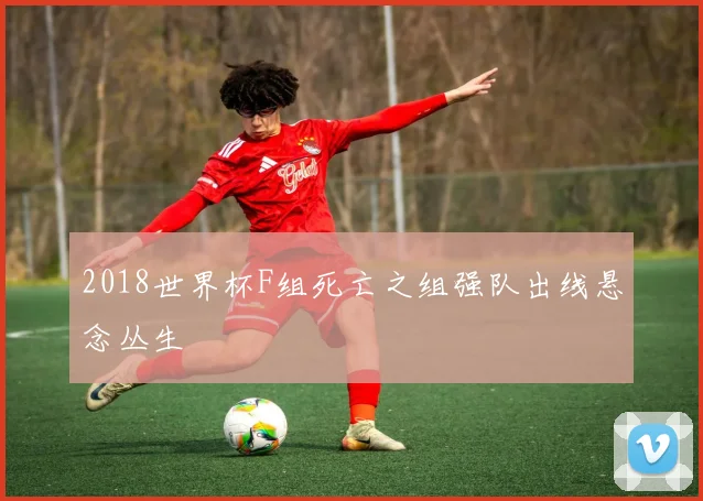 2018世界杯F组死亡之组强队出线悬念丛生